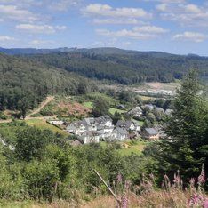 Saßmicke aus dem Wald / S.Kurz-Schneider