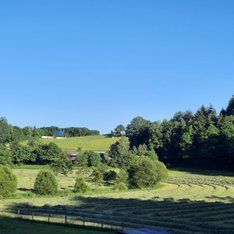 Saßmicke aus dem Wald / Sandra Kurz-Schneider