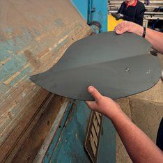 Blätter der Blüte werden geformt/N. Rabenstein