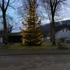 Weihnachtsbaum an der Dorfmitte / Sandra Kurz-Schneider